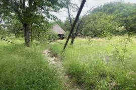 Land For Sale on Mahlathini Private Game Reserve South