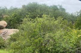 Land For Sale on Mahlathini Private Game Reserve South