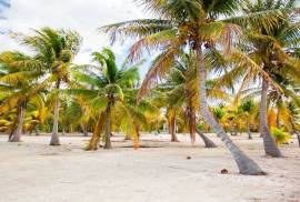2 Excellent Plots of land for sale in Holbox Region