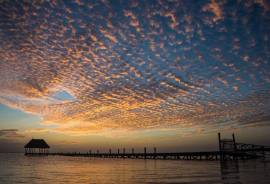 2 Excellent Plots of land for sale in Holbox Region