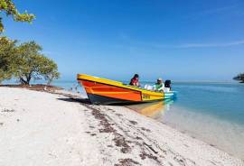 2 Excellent Plots of land for sale in Holbox Region