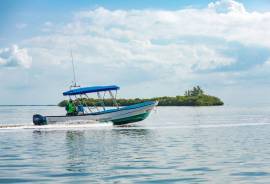 2 Excellent Plots of land for sale in Holbox Region