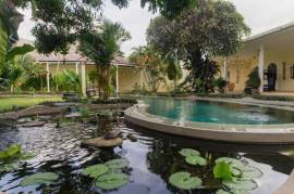 Luxury 5 Bed Villa Costa Plenty Bed and Breakfast For Sale in Sanur Bali