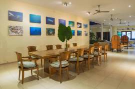 Luxury 5 Bed Villa Costa Plenty Bed and Breakfast For Sale in Sanur Bali