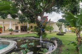 Luxury 5 Bed Villa Costa Plenty Bed and Breakfast For Sale in Sanur Bali