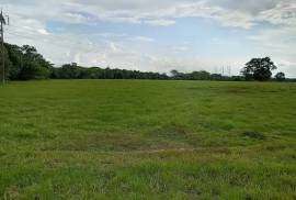 Villa Sonia Cattle Farm For Sale In Rio Negro