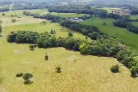 Villa Sonia Cattle Farm For Sale In Rio Negro