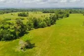 Villa Sonia Cattle Farm For Sale In Rio Negro