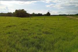 Villa Sonia Cattle Farm For Sale In Rio Negro