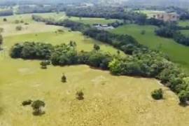 Villa Sonia Cattle Farm For Sale In Rio Negro