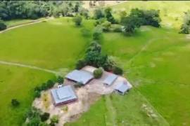Villa Sonia Cattle Farm For Sale In Rio Negro