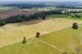 Villa Sonia Cattle Farm For Sale In Rio Negro