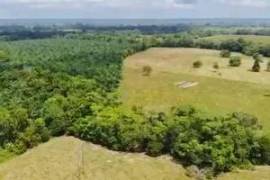 Villa Sonia Cattle Farm For Sale In Rio Negro