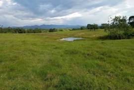 Villa Sonia Cattle Farm For Sale In Rio Negro