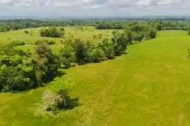 Villa Sonia Cattle Farm For Sale In Rio Negro