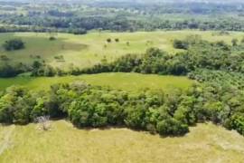 Villa Sonia Cattle Farm For Sale In Rio Negro