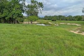 Villa Sonia Cattle Farm For Sale In Rio Negro