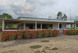 Villa Sonia Cattle Farm For Sale In Rio Negro