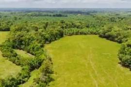 Villa Sonia Cattle Farm For Sale In Rio Negro