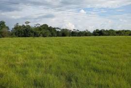 Villa Sonia Cattle Farm For Sale In Rio Negro
