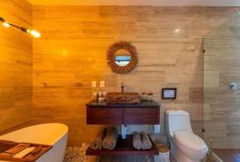Luxury 1 Bed Apartment For Sale In Meraki Complex Tulum