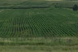 Foutani Farm for redevelopment into a Boutique hotel for Sale in Fouriesburg Free State South