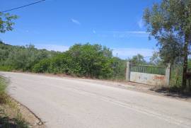 Excellent Plot of land for sale in Anthidona Evia Island