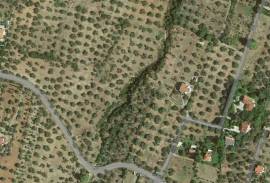 Excellent Plot of land for sale in Anthidona Evia Island