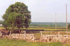 Superb Traditional French farmhouse to renovate in Le Bois Coupe Ciry-le-Noble Burgundy