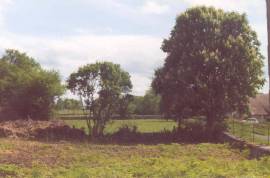 Superb Traditional French farmhouse to renovate in Le Bois Coupe Ciry-le-Noble Burgundy