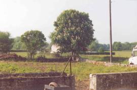 Superb Traditional French farmhouse to renovate in Le Bois Coupe Ciry-le-Noble Burgundy
