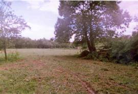 Superb Traditional French farmhouse to renovate in Le Bois Coupe Ciry-le-Noble Burgundy