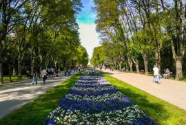 4 Properties and Plots of Land for Sale in Varna Region of