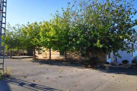 Warehouse for sale in Hondón de las Nieves