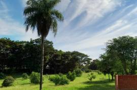 Serenity Ranch Avocado Farm: Countryside Agricultural Land For Sale in La Cruz