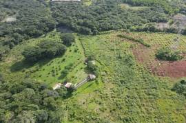 Serenity Ranch Avocado Farm: Countryside Agricultural Land For Sale in La Cruz