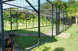 Serenity Ranch Avocado Farm: Countryside Agricultural Land For Sale in La Cruz