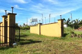 Serenity Ranch Avocado Farm: Countryside Agricultural Land For Sale in La Cruz