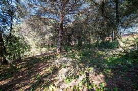 Flat plot in Les Roquetes, street Joaquima Mas