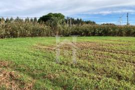 Terreno Rústico em São Bartolomeu dos Galegos, Lourinhã Terreno Rústico em São Bartolomeu dos Galegos, Lourinhã