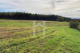 Terreno Rústico em São Bartolomeu dos Galegos, Lourinhã Terreno Rústico em São Bartolomeu dos Galegos, Lourinhã