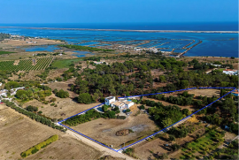 Large Property in Livramento with House, Annexes, Patio, and Pool, Close to the Sea