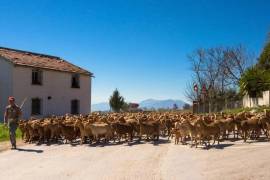 Static Mobile Home For Sale In Lazy Days Pueblo Fiesta Malaga