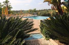 Spectacular 2 bedroom apartment with terrace and communal pool of the building.