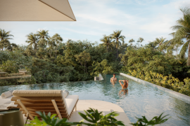 W Residences Treehouses 3: A Limited Collection of Luxury Residences!