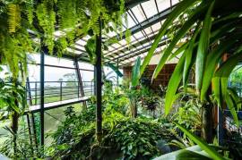 Celeste Mountain Lodge: Mountain Hotel/Resort/Hostel For Sale in Bijagua