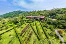 Celeste Mountain Lodge: Mountain Hotel/Resort/Hostel For Sale in Bijagua