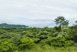 Cortez Amarillo #1: Your Perfect Lot for a Dream Home Awaits!