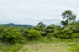 Cortez Amarillo #1: Your Perfect Lot for a Dream Home Awaits!