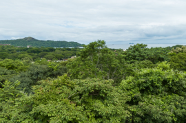 Cortez Amarillo #1: Your Perfect Lot for a Dream Home Awaits!